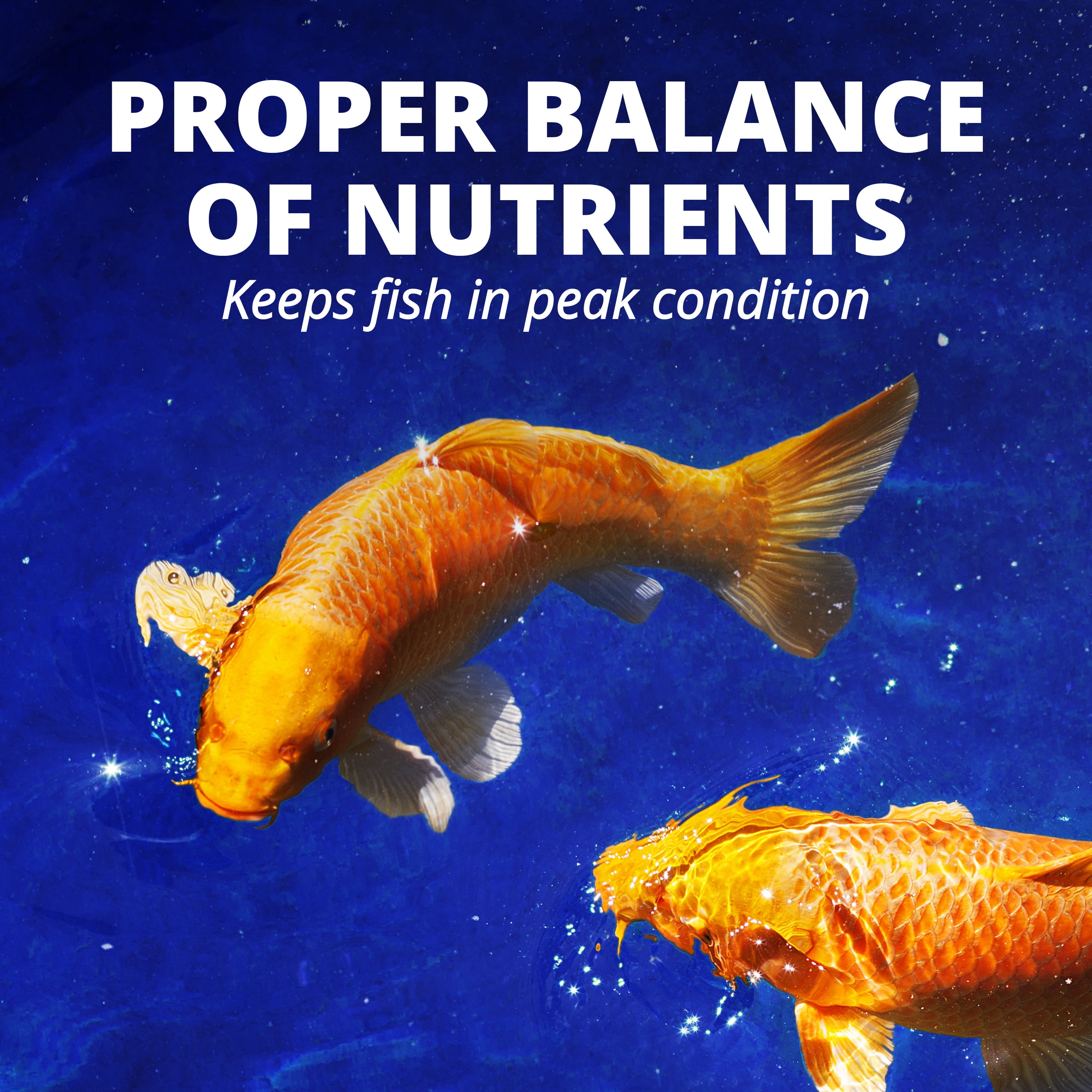 TetraPond Pond Sticks Pond Fish Food for Goldfish and Koi, 6.61 lb