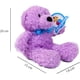 thumbnail image 3 of Set de 6 piezas Osos Mix Flomo Color Morado Surtidos de peluche, 3 of 4