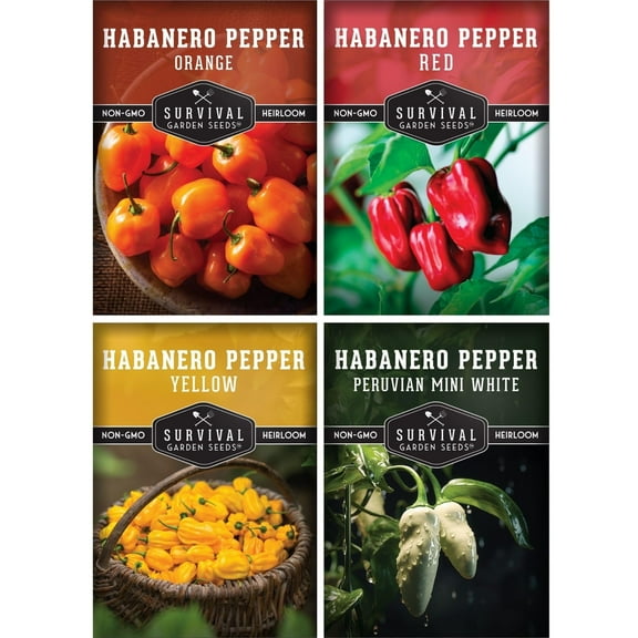 4 Pack Habanero Pepper Seeds Collection - Non-GMO Heirloom - Full Sun Annual Vegetable