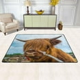 thumbnail image 2 of Dreamtimes Highland Cow Cattle Farm Non-Slip Area Rug Meadow Animal Floor Carpet Comfort Floor Mats Decor for Indoor Front Porch,Living Room, Bedroom,Kitchen, 36"x24", 2 of 5
