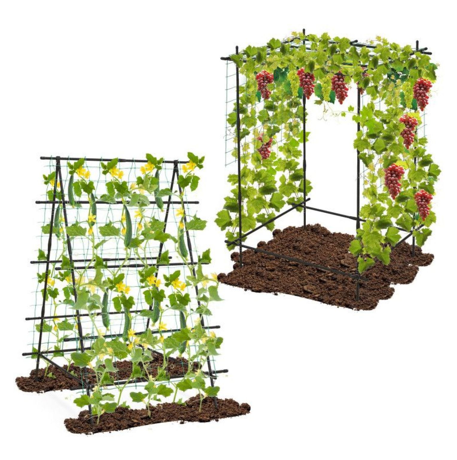 Cucumber Trellis A-Frame, Garden Plant Support with Netting - Climbing Plants, Vegetables & Flowers - Outdoor Durable Metal Trellis