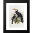 thumbnail image 2 of Daniel Giraud Elliot 13x18 Black Modern Framed Museum Art Print Titled - Hydrocissa Exarhatus (1882), 2 of 5