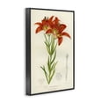 thumbnail image 2 of Stupell Industries Shabby Chic Western Red Lily Black Framed Giclee Art, 20 x 30, by Print Collection, 2 of 8