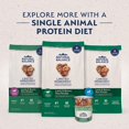 thumbnail image 4 of Natural Balance Limited Ingredient WithGrain Small Breed Adult Dry Dog Food Lamb & Brown Rice, 4 of 4