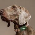 thumbnail image 2 of Funda Silicona Soporte Impermeable para Collar Perro para Galaxy SmartTag2 (verde), 2 of 9