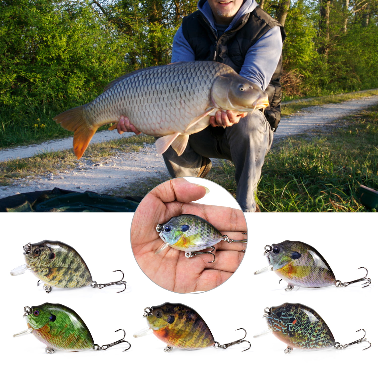 MIXFEER 5PCS Fishing Lures 6cm 15g Mini Wobbler Fishing Lure Artificial  Hard Bait Crankbait with Tackle Box for Fish Bass Fishing Tackle