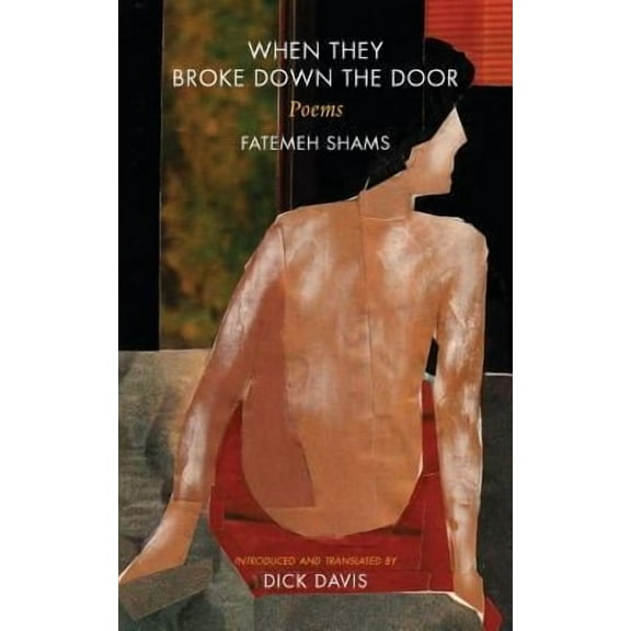When They Broke Down The Door: Poems (Paperback)