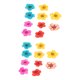 thumbnail image 2 of 20 piezas de flores secas prensadas Zhivalor Color mezclado, 2 of 8