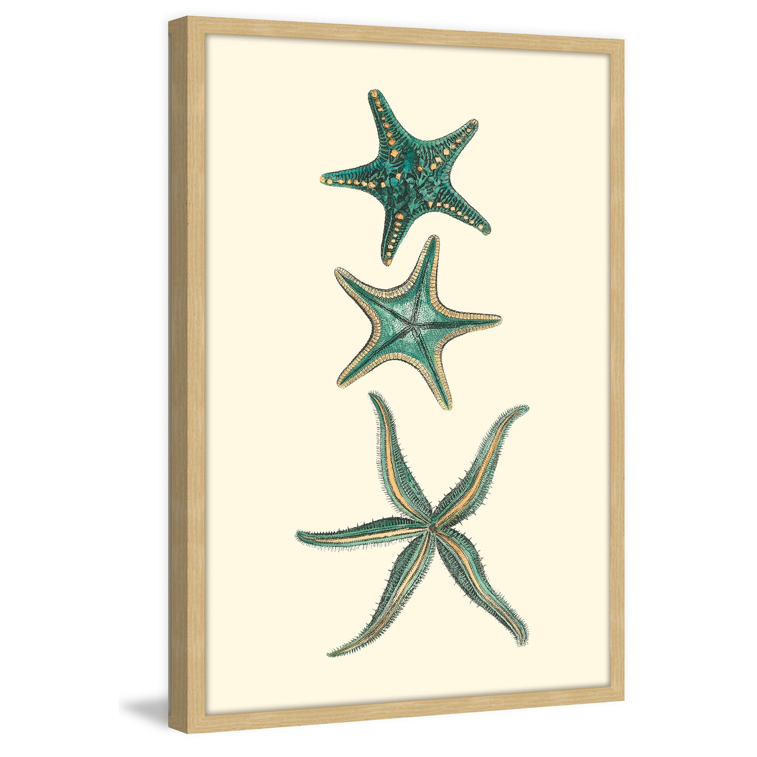 Marmont Hill "Aqua Starfish" Framed Painting Print