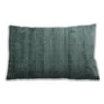 thumbnail image 1 of Ahgly Company Indoor Rectangular Contemporary Lumbar Throw Pillow, 13 inch by 19 inch, 1 of 5