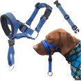 thumbnail image 1 of Dog Head Halter with Safety Strap, Dog Head Collar with Reflective Strap, No-Pull Dog Collar Adjustable Dog Harness Trainingzz, 1 of 5