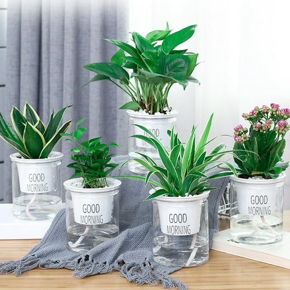 Yirtree White-Natural Decor Planter Live Indoor Plant, 4/5Inches Tall, Double Tier Hydroponic Epipremnum Aureum Self-watering Flowerpot Home Decor 2PCS