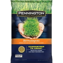 Pennington Premium Blend Bermuda Grass, 1 lb.