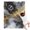 Black White Gold, variant on Black White Gold Marble Pattern Blanket,Comfortable Soft Flannel Throw Blanket,All Season,Warm Lightweight Blankets for Sofa Bed Couch Living Room Chair,30"x40"