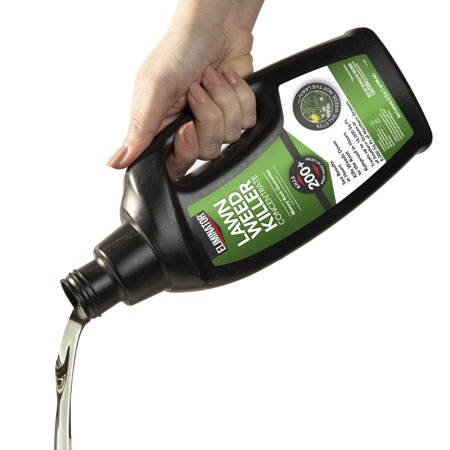 Eliminator Lawn Weed Killer Concentrate, Kills Weeds, 32 fl oz - Best
