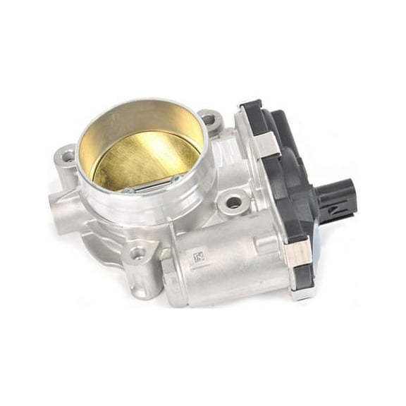 Fuel Injection Throttle Body
