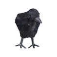 thumbnail image 4 of Terror Animal Pájaro Plástico Y Plumas Halloween para El Fiesta Halloween, 4 of 5
