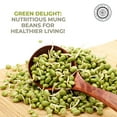 thumbnail image 3 of Pride Of India Whole Green Mung Beans (Moong), 1.5 lbs Jar, Plant Based Protein, 3 of 8