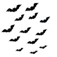 thumbnail image 2 of 16Pcs 3D Bats Stickers, Halloween Party Supplies Waterproof Scary Bats Wall Decals DIY Home Window Decor, 2 of 6
