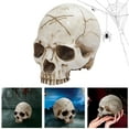thumbnail image 2 of Halloween Decoration Dinosaur Crafts Teaching Resin Model Skeleton Decoration & Hangs, 2 of 9