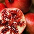 thumbnail image 1 of 25 POMEGRANATE TREE Punica Granatum Red Fruit Seeds, 1 of 5