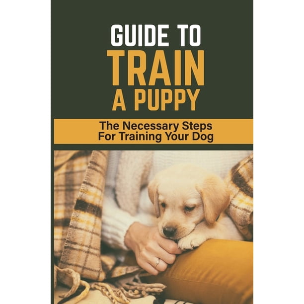Guide To Train A Puppy : The Necessary Steps For Training Your Dog: How To  Toilet Train A Puppy (Paperback) - Walmart.com
