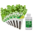 thumbnail image 1 of Miracle Gro AeroGarden Pesto Basil Seeds 6 Pod Kit, 1 of 6
