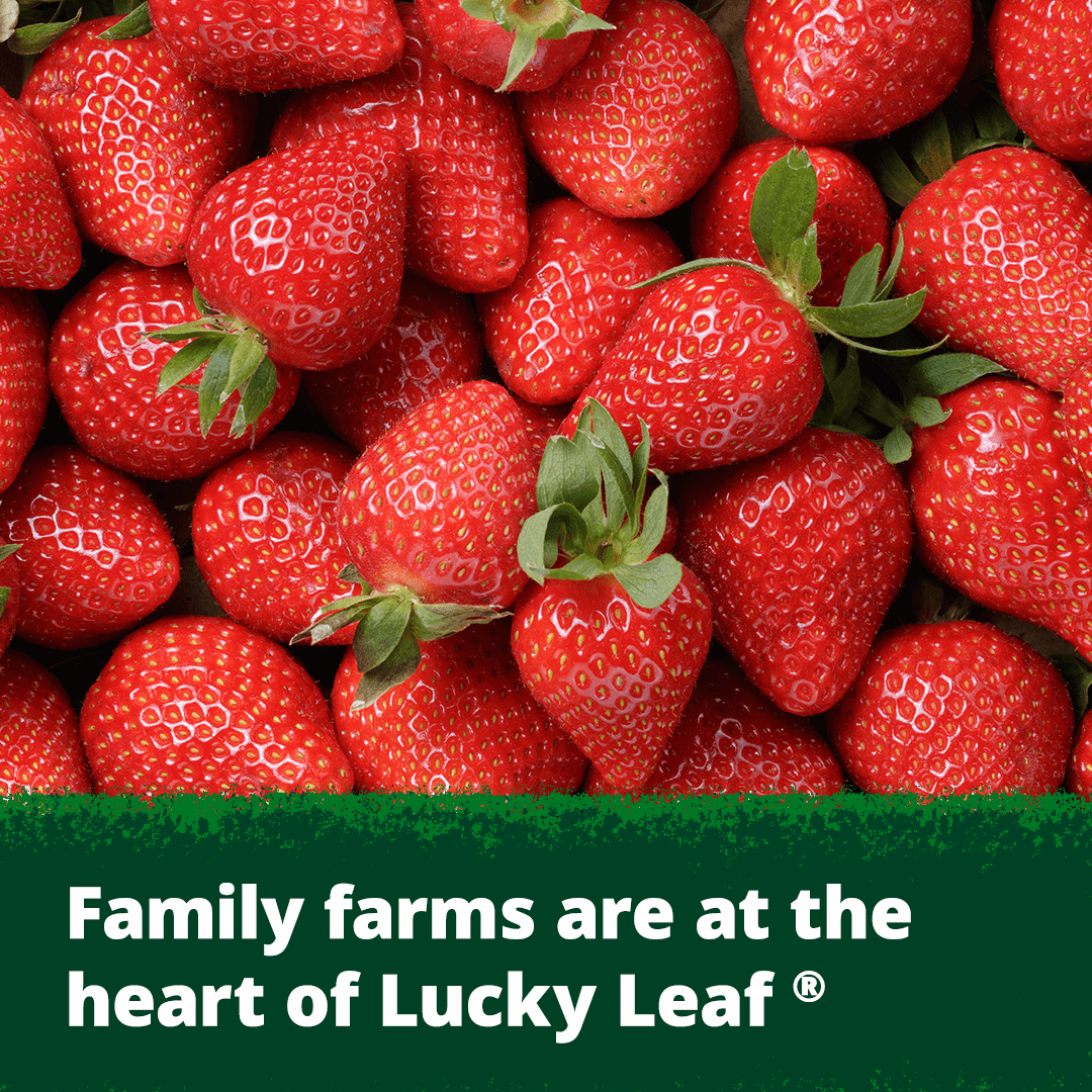 Lucky Leaf Premium Strawberry Rhubarb Fruit Filling and Topping, 21 oz Can