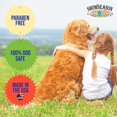 thumbnail image 3 of Acondicionador para mascotas South Bark's Blueberry-Clove 355 ml para perros, 3 of 5
