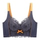 thumbnail image 1 of Sujetador de encaje ajustable para pecho pequeño, fruncido grande, accesorio anticaída, ropa interior de verano, 1 of 6
