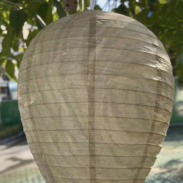 Wasp Nest Decoy Hanging Wasp Deterrent Safe Garden Trampa repelente (cian claro)