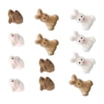 thumbnail image 1 of Multi Succulent Micro Landscape Adorns Bunny Decor for Home with 12Pcs, 1 of 5