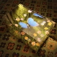 thumbnail image 4 of Hogar y jardín, decoración del hogar, terrario, luz nocturna, real y LED, en un somier, mariposas, luz nocturna, bricolaje, 4 of 9