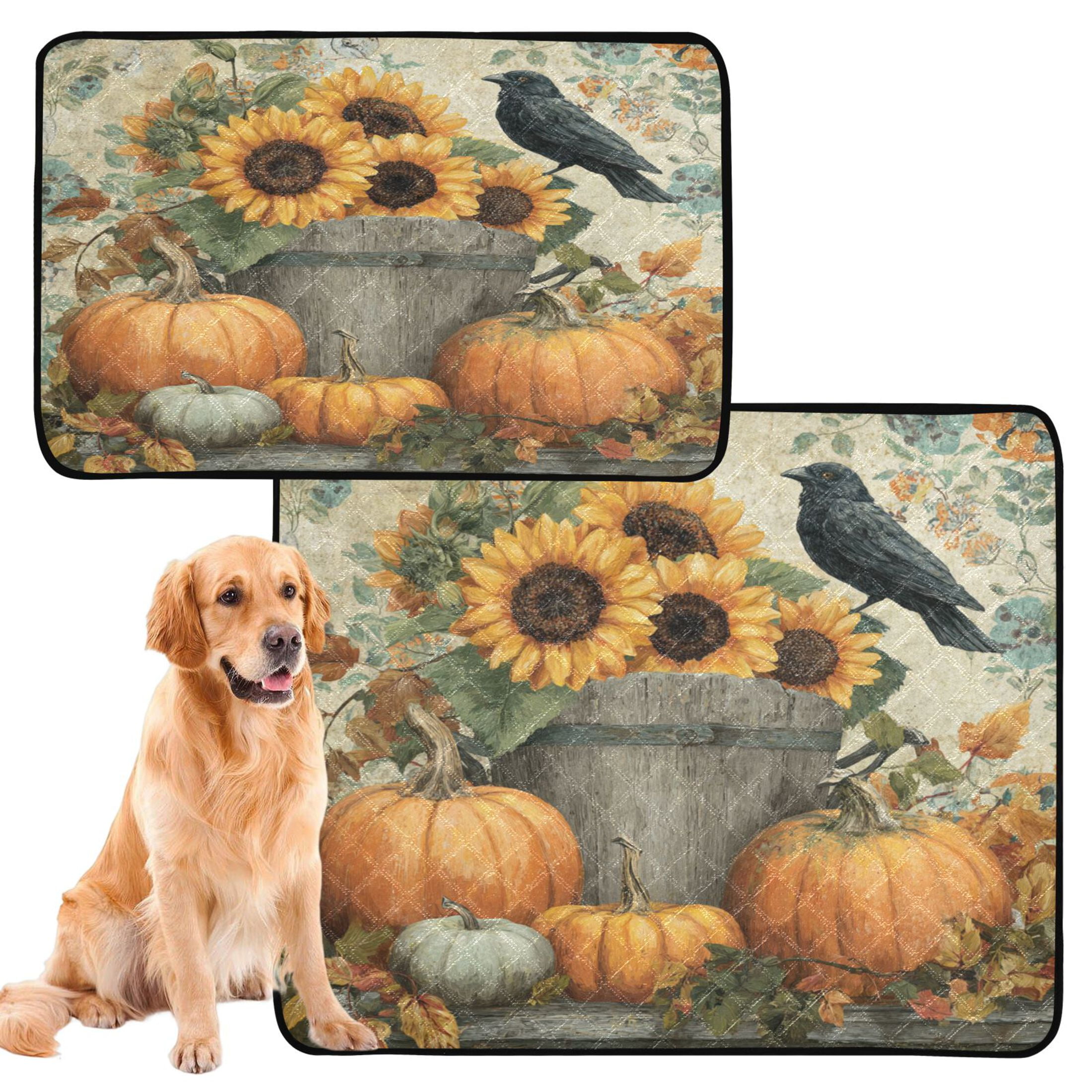 Qxltty Pumpkins Sunflowers Cat litter Pads Pet Set of 3 Diaper Mats Center Anti-leakage Layer Absorbent Soft and Comfortable