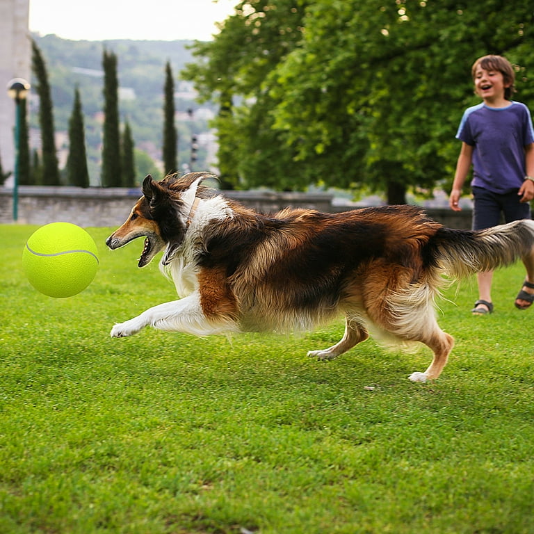 Ball thrower for on sale big dogs
