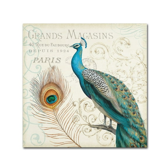 Trademark Fine Art "Majestic Beauty II Square" Canvas Art by Daphne Brissonnet