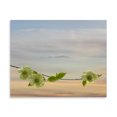 thumbnail image 2 of Gango Home Decor Contemporary Dogwood at Sunset II by Kathy Mahan (Printed on Paper); One 16x16in Fine Art Paper Giclee Print, 2 of 4