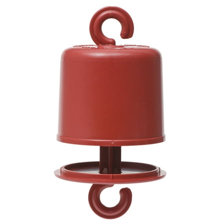 Perky-Pet Ant Guard for Hummingbird Feeders (Best Way To Keep Ants Out Of Hummingbird Feeder)