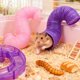thumbnail image 1 of CRILSTYLEO 2Ud Plegables De Plástico Para Hamsters Y Gerbils Túneles De Ejercicio Creativos, 1 of 6