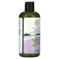 thumbnail image 4 of Petal Fresh Anti-Frizz Shampoo, Lavender, 16 fl oz (475 ml), 4 of 5