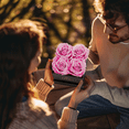 thumbnail image 4 of Otuo Preserved Roses in Gift Box, Real Eternal Rose Flower Gifts for Girlfriend, Mom, Women, Wife, Birthday Anniversary and Valentine's Day (Pink), 4 of 8