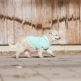 thumbnail image 4 of Vibrant Life Green Striped Pull over Pocket Pet Hoodie for Dogs, Xsmall, 4 of 6