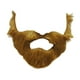 thumbnail image 5 of Barba falsa Barbas falsas Accesorios de disfraces de cosplay Simulación divertida Bigotes falsos para adultos Pelo facial falso para suministros para Marrón Fernando barba falsa, 5 of 8