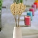 thumbnail image 5 of ColoMX 2 Ramo de plantas artificiales blancas Decoración de trigo Grano Flor Rama Realista Simular Ramos de flores Fotografía Prop, 5 of 8