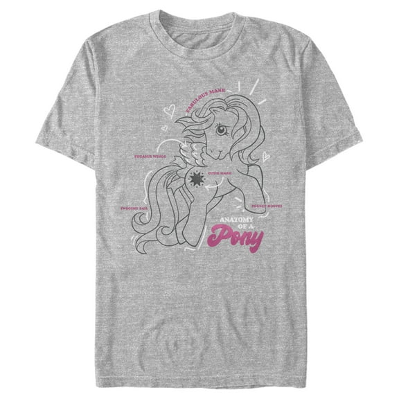 Men's My Little Pony Cute Anatomy Lesson  Graphic Tee Athletic Heather 2X Large