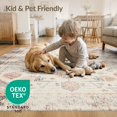thumbnail image 4 of ODIKA 8'x10' Washable Area Rug Dirt Trapping Entryway Boho Border Trapper Front Door Doormat for King Size Bedroom Under Bed, Master Suite, Non-Shedding, Easy Care, 4 of 7