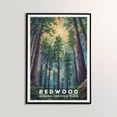 thumbnail image 3 of ELNEIT - Redwood National Park Poster, Unframed Matte Paper, S11, 3 of 3