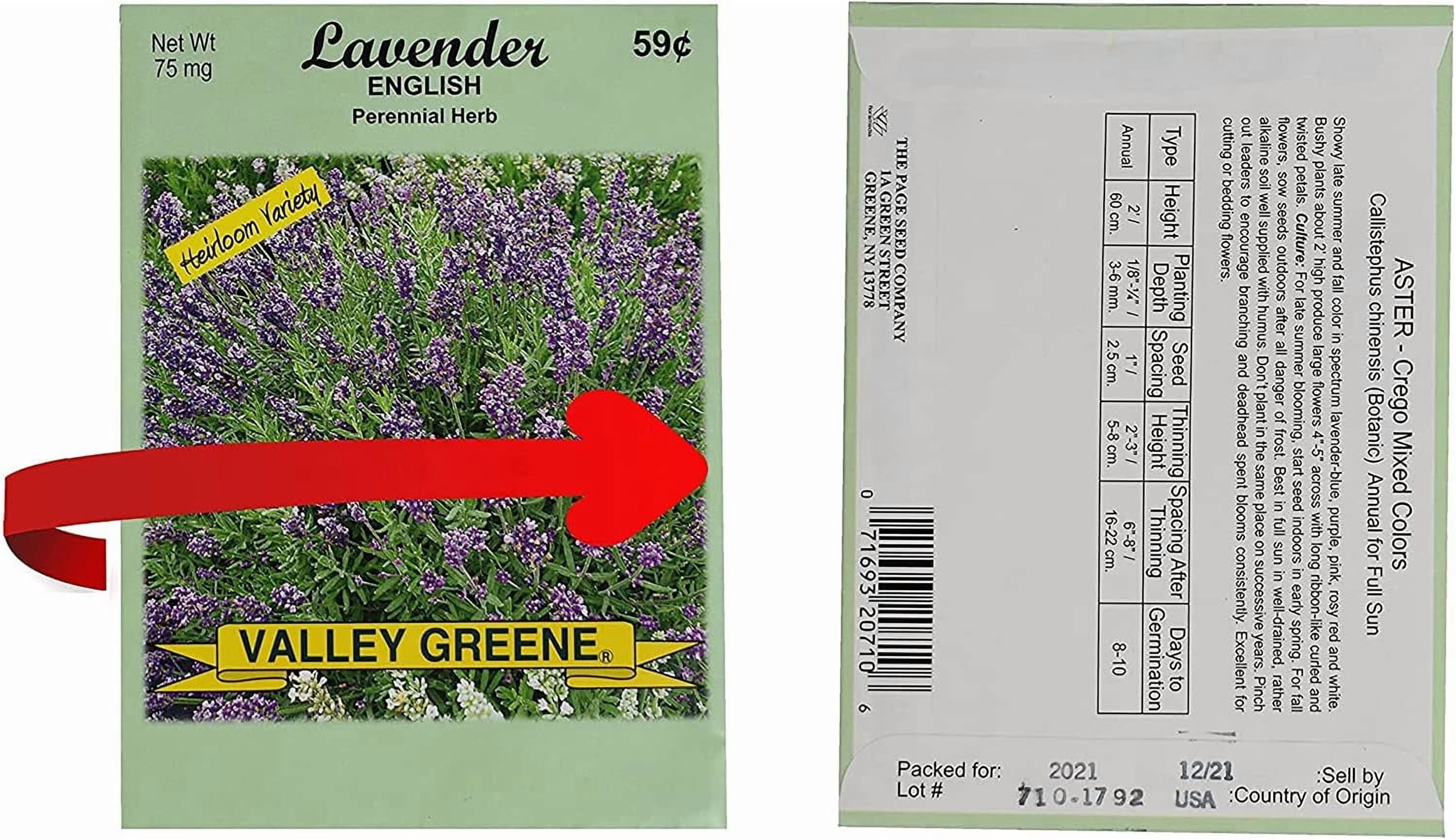 Freedom Farm Seeds Set of 200 Flower Seed Packets! Flower Seeds in Bulk - Best Value Seeds - Great for Classrooms, Beginner Gardeners and Kids! - Deluxe Varieties! (200)