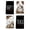 B, variant on Sm:)e Pink Boo Spooky Ghost Halloween Kitchen Dish Towels 18 x 26 Inch Set of 4