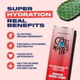 thumbnail image 5 of (12 pack) Caliwater Organic Cactus Water, Watermelon, Single Can, Coconut Water Alternative, 12 fl oz, 5 of 9